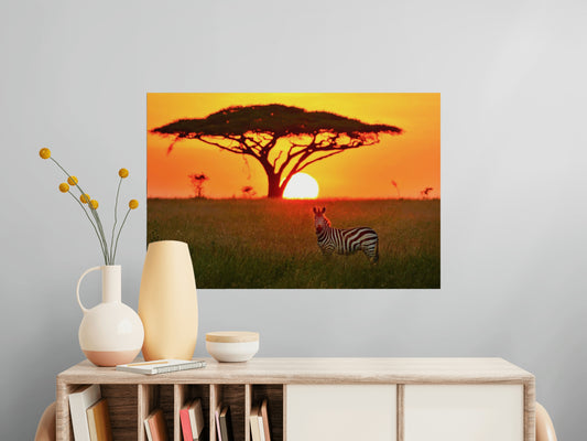 Zebra at Sunrise - Poster